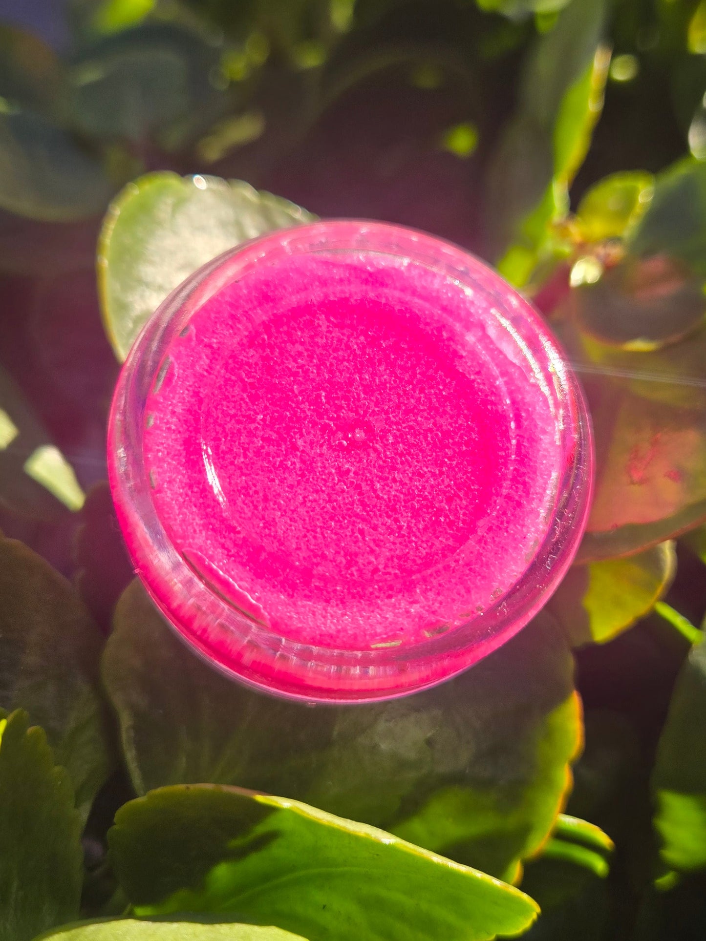1oz Lip Scrubs