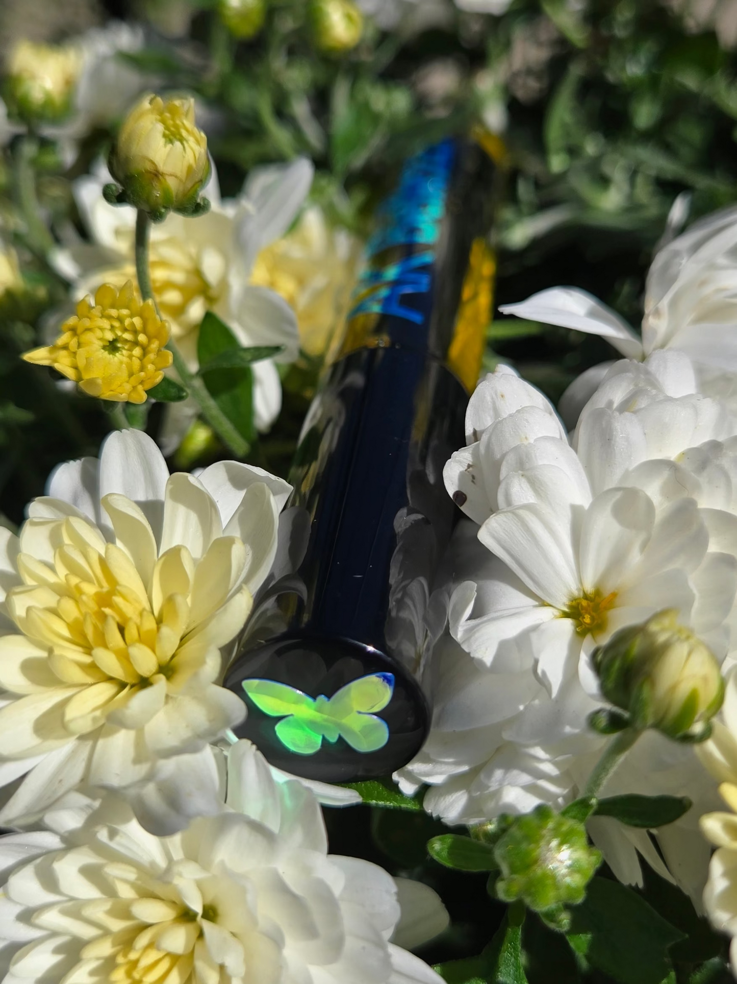 Eyelash and brow serum